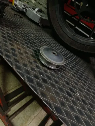 Variador Malossi Furia Rosa y Aspas TG6