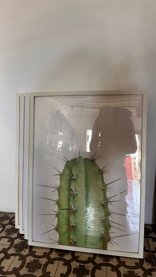 Lote 10 Cuadros Decorativos