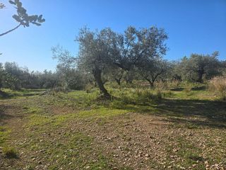 Terreno en venta en Montsià de Mar en Alcanar