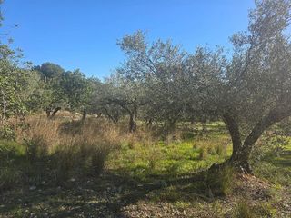 Terreno en venta en Montsià de Mar en Alcanar