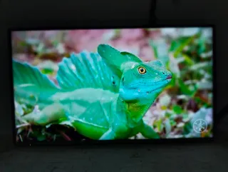 Televisor Panasonic 43 Smart TV