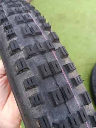 Cubiertas Schwalbe Eddy Current Delantera y Traser
