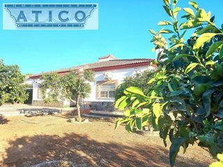 Chalet en venta en Rinconada (La)