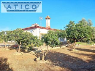 Chalet en venta en Rinconada (La)