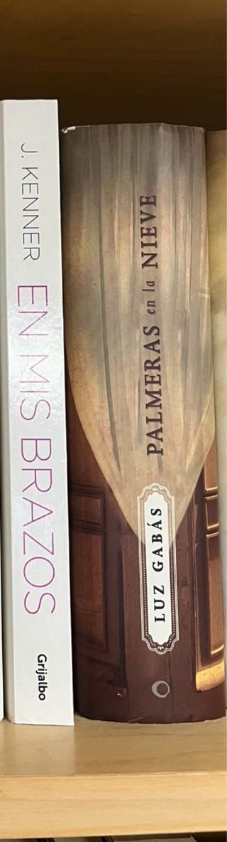 Palmeras en la nieve