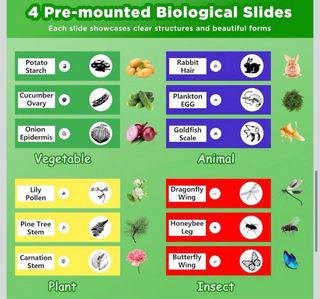 Microscopio Infantil Weishide 100-1600x