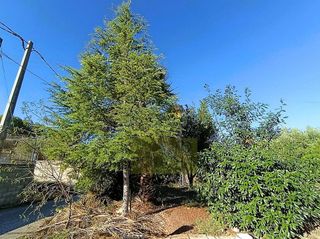 Chalet en venta en Ontinyent