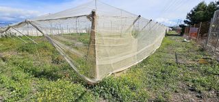 Solar en venta en Totana