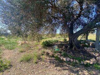 Terreno en venta en Costa Norte en Vinaròs