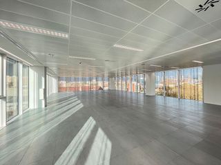 Oficina en alquiler en Provençals del Poblenou en Barcelona