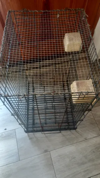 Jaula grande para pájaros