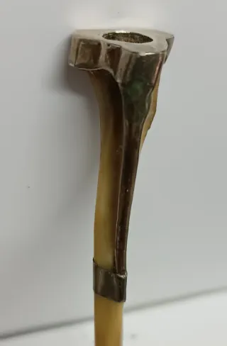 Hueso decorado para coleccionistas