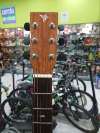 Guitarra SienZ S2016 Acústica