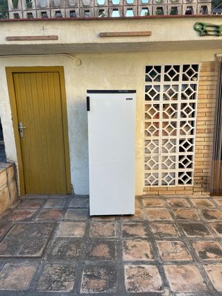 Congelador Zanussi Grande