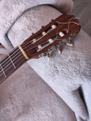 Guitarra Clásica Takamine NCP-132SC Japonesa