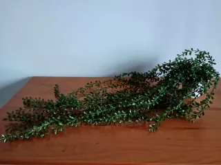 Lámpara USB con estante metal cuadros y planta