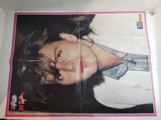 Lote 1 Posters Serie V