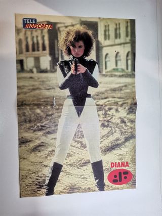 Lote 2 Posters Serie V y Varios