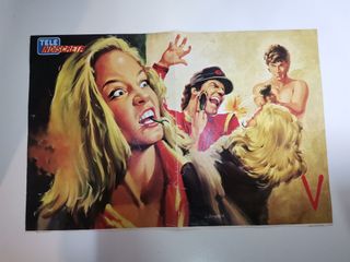 Lote 2 Posters Serie V y Varios