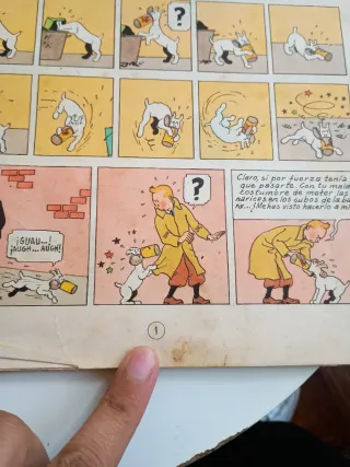 El cangrejo de las pinzas de oro