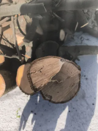 Leña de encina para chimenea