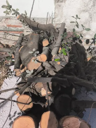 Leña de encina para chimenea