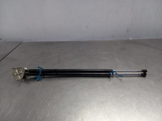 AMORTIGUADORES MALETERO / PORTON FIAT SCUDO (272)