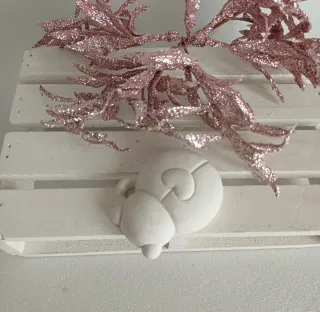 Coccinella simil Thun