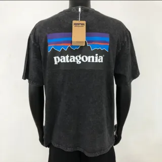 Camiseta Patagnia Gris Manga Corta