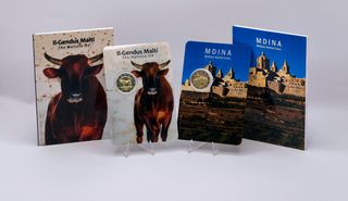 2 Euro Malta 2024 Bue + Mdina Coincard FDC