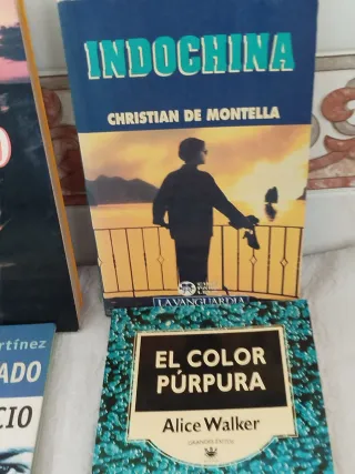 LIBROS LLEVAS 6 PAGAS 5