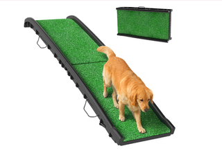 Rampa Perros Césped Artificial 155cm