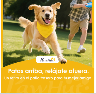 Rampa Perros Césped Artificial 155cm