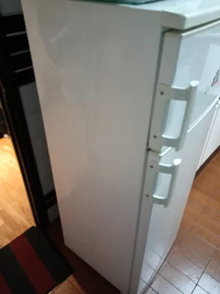 Nevera blanca Recoger en Barcelona