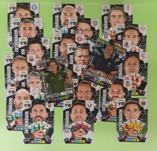 Lote Entrenadores y Master Mister