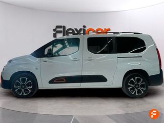 Citroën Berlingo Talla XL BlueHDi 130 S&S EAT8 SHINE
