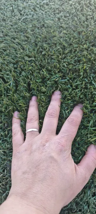 Césped artificial verde