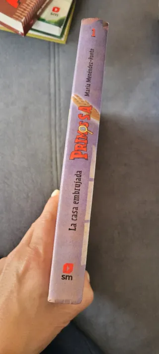 Primos S.A. 1 - La casa embrujada