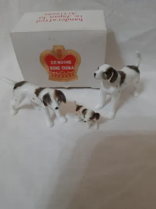Pointer Bone China Japan family.