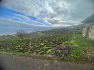 Venta de terreno (finca) en placeres, Los Realejos