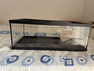 Terrario para tortugas