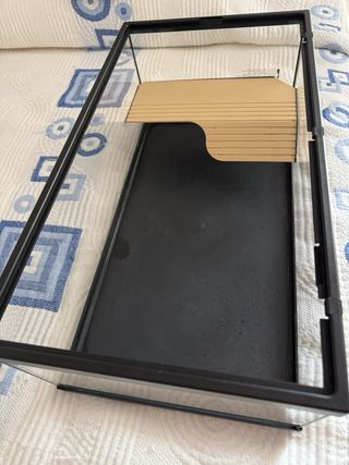 Terrario para tortugas