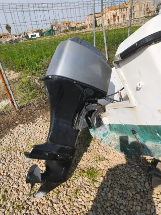 Motor fueraborda Mariner 60cv 4t inyección