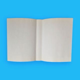 The Adventures of Mighty Max / Mega Drive