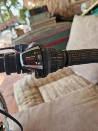 Bicicleta de Montaña