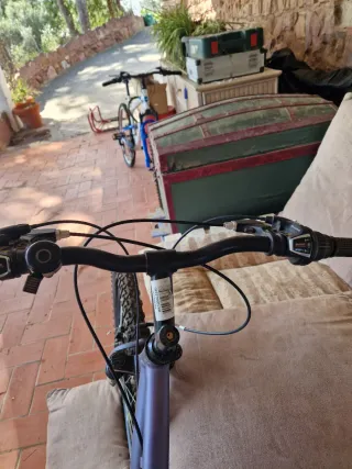 Bicicleta de Montaña