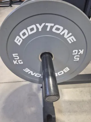 Discos de gimnasio Bodytone 20 kg