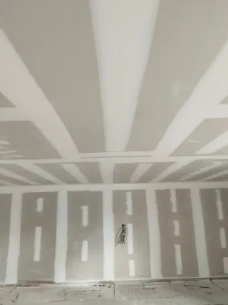 Servicio de Pintura Profesional