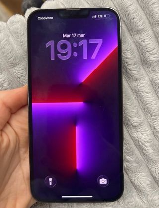 iPhone 13 Pro Max Grigio 256gb