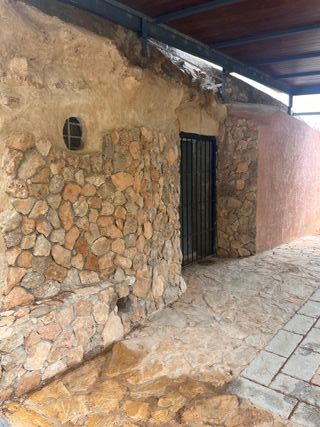 Terreno rustico en Aspe con pinada y cueva